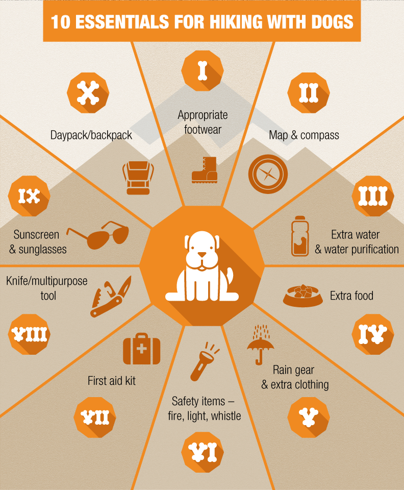 Dog Hiking Essentials From Sierra Trading Post