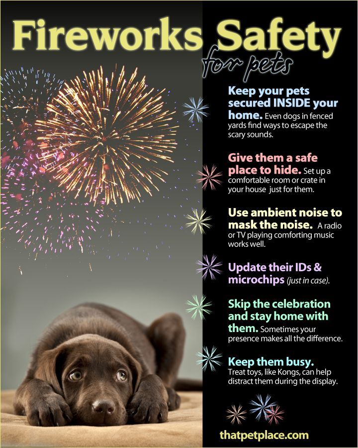 Fireworks & Pets... how to keep them safe