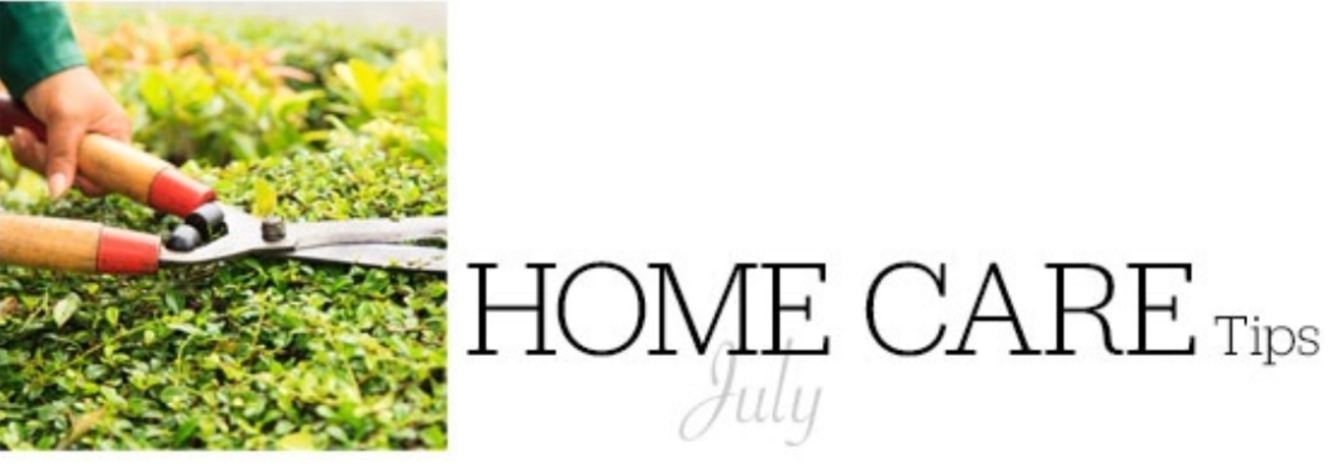 24 Home Care Tips For July