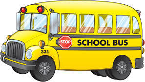 drive safely around school buses in Charlotte