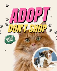 Dopt don't shop for your pets