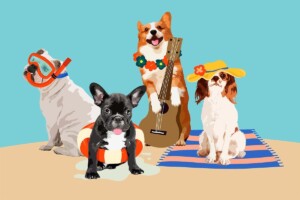 Dog beach party