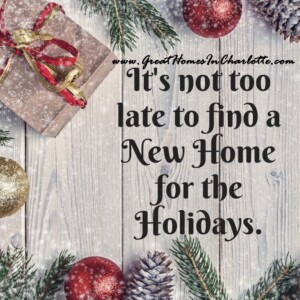 It's not too late to find a new Charlotte home in time for the Christmas holidays