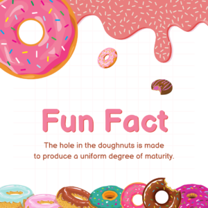 Fun fact about donuts