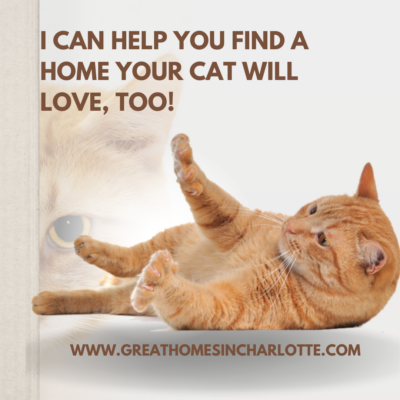 Nina Hollander, Coldwell Banker in Charlotte, can help you find a home your cat will love, too.