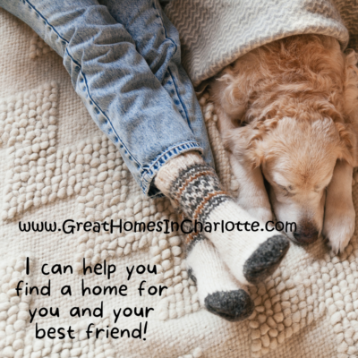 Pet friendly real estate for you and your best friend