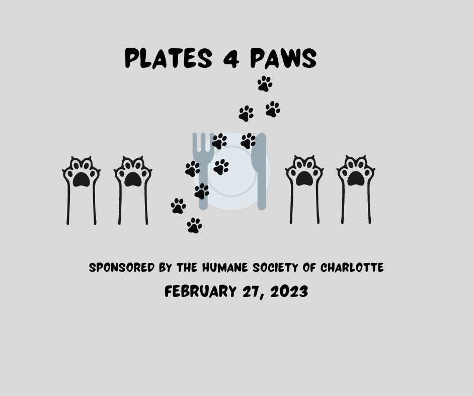 Plates 4 Paws