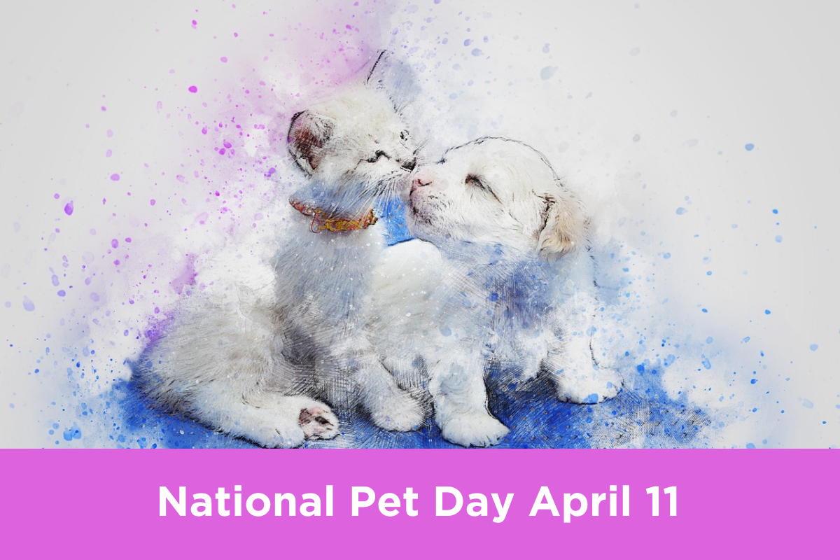 National Pet Day: 7 Purrfect Ways To Celebrate