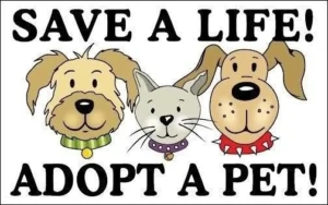 Adopt a shelter pet and save a life