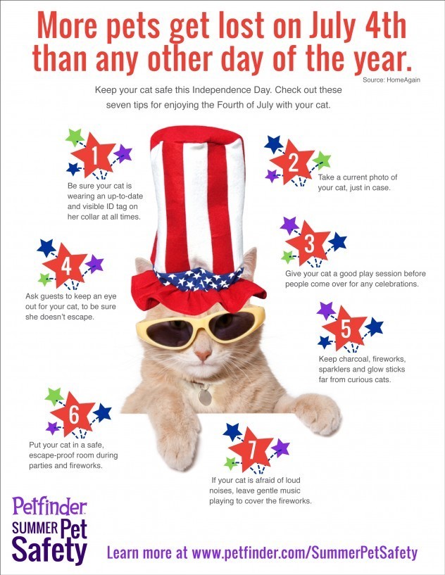 How to keep your cats safe on July 4th