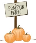 Charlotte pumpkin patches