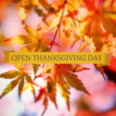 Feast Without The Fuss In Charlotte Thanksgiving Day - Nina Hollander