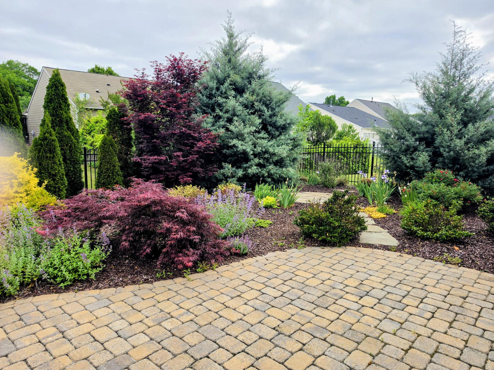Backyard oasis at 10219 Threatt Woods Drive in Charlotte's Ballantyne