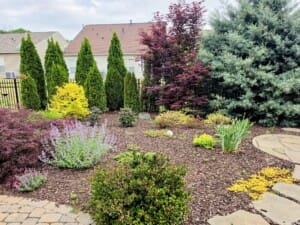 10219 Threatt Woods Drive Backyard in Charlotte's Ballantyne