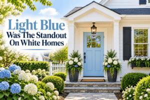 Light blue front doors on white homes add thousands in value when you sell