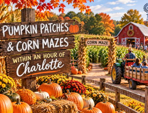 Where to Find Charlotte’s Best Pumpkins, Corn Mazes & Hayrides
